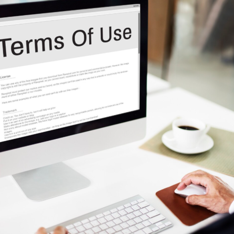 terms